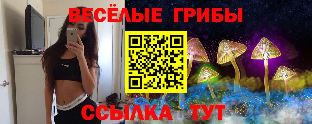 Галлюциногенные грибы ЛСД Котельники